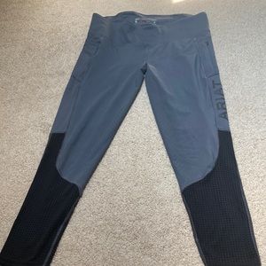 AriatTek Riding Breeches